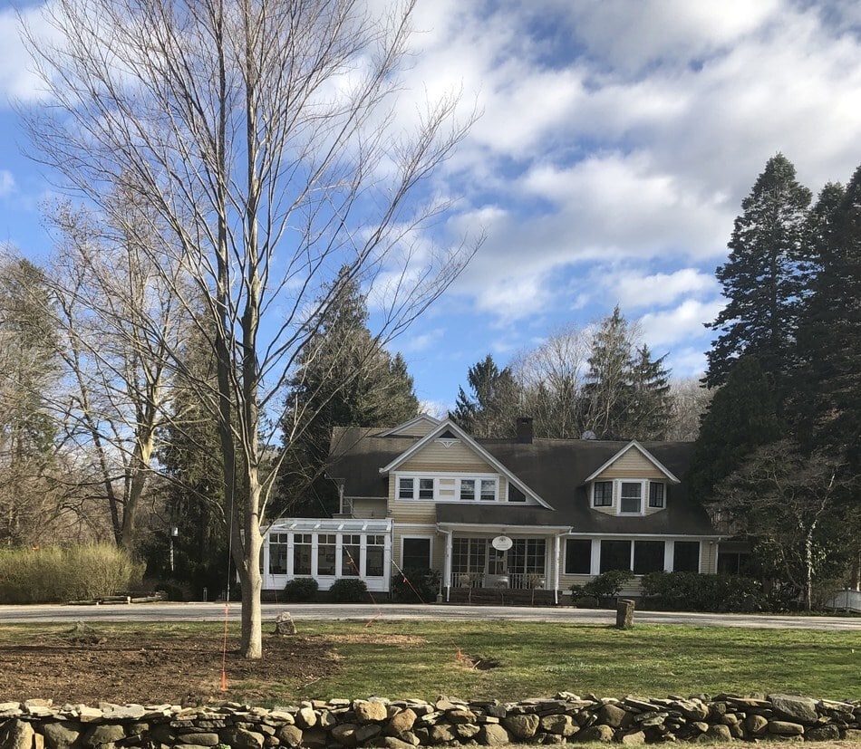 Copper Beech Tree Transplanted At Copper Beech Inn APRIL 2020